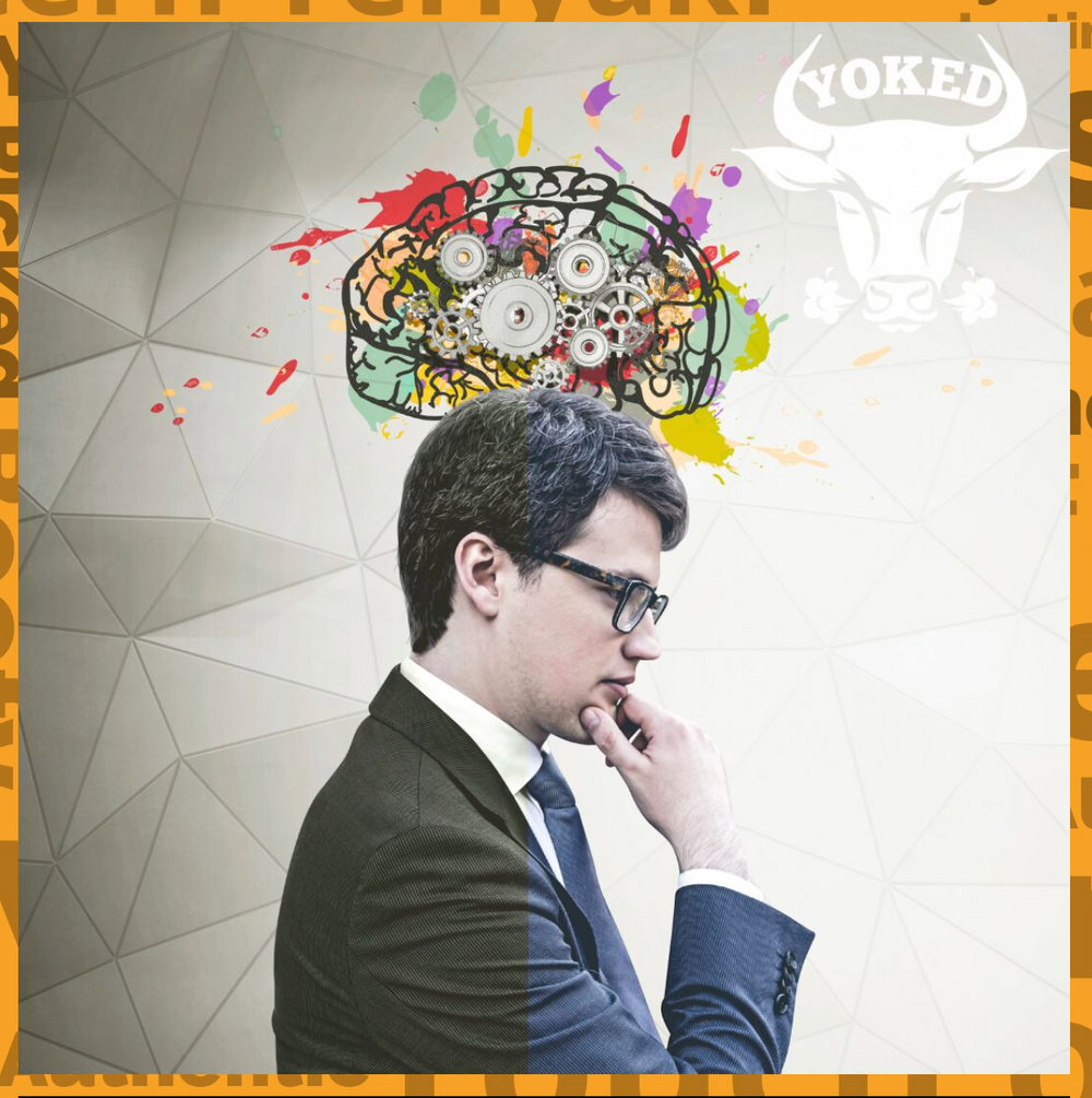 Fuel Your Brain with Protein | Yoked Jerky Smart Snack
